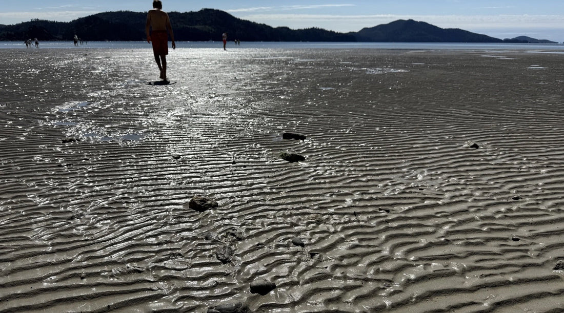 The mysteries of the sea, revealed