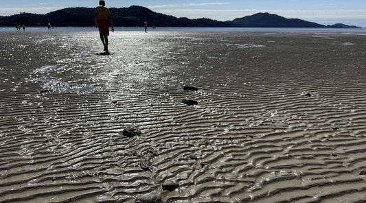 The mysteries of the sea, revealed
