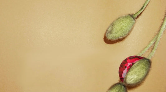 A Magical Reawakening