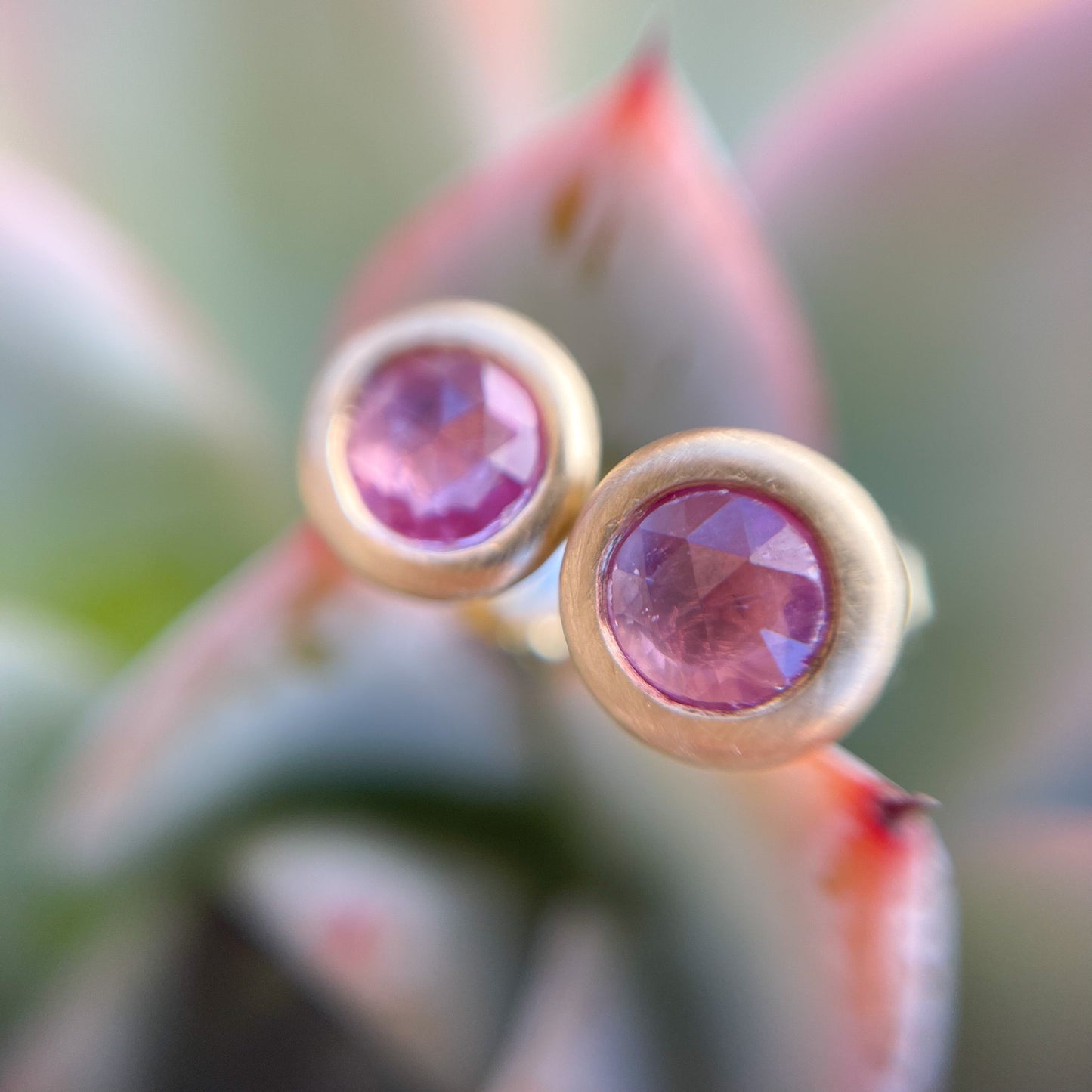 Pink sapphire earrings studs by NIXIN Jewelry posed on succulents