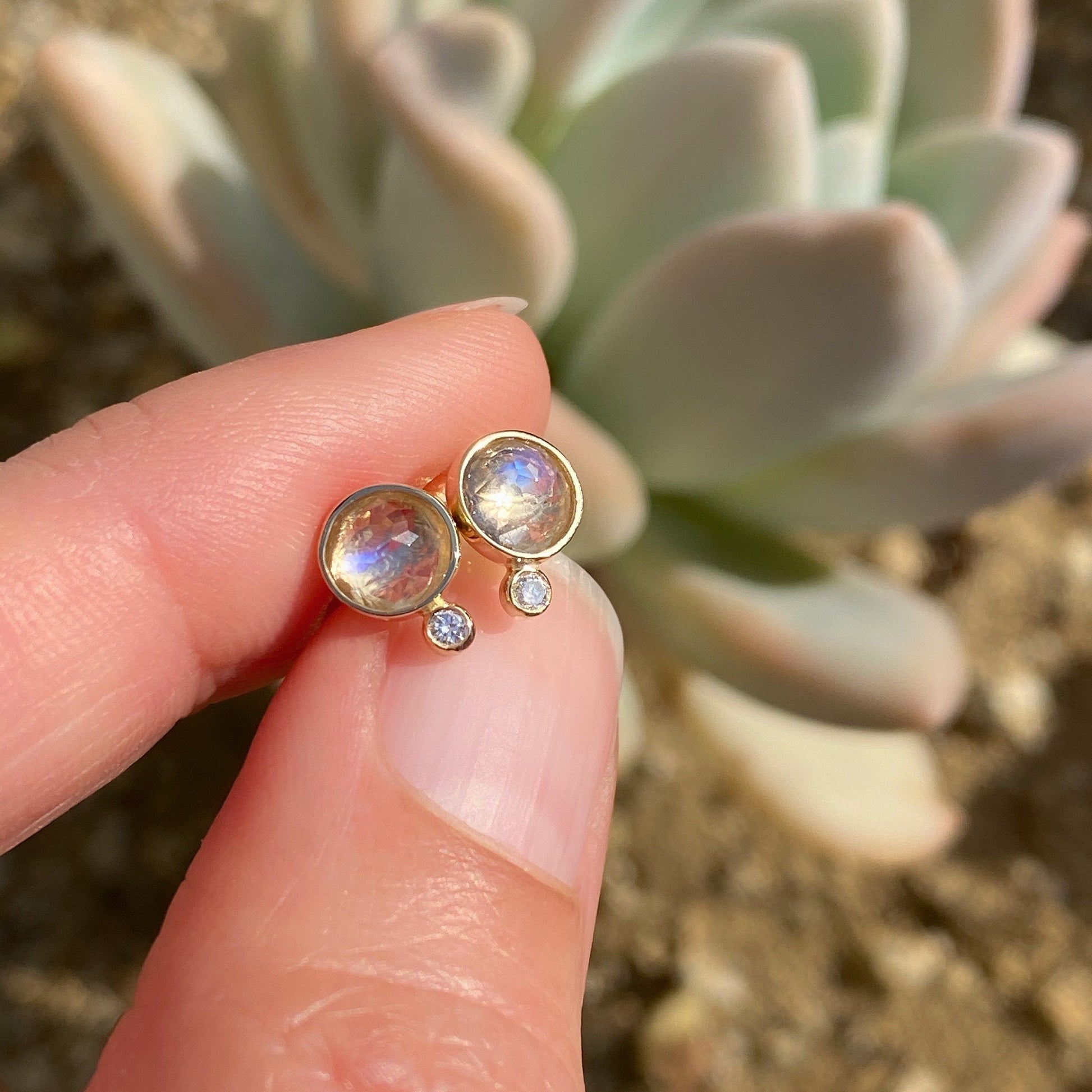 moonbeam moonstone diamond stud earrings in yellow gold with succulent backdrop
